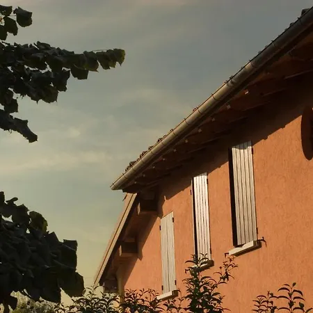 Santa Maria Maddalena *